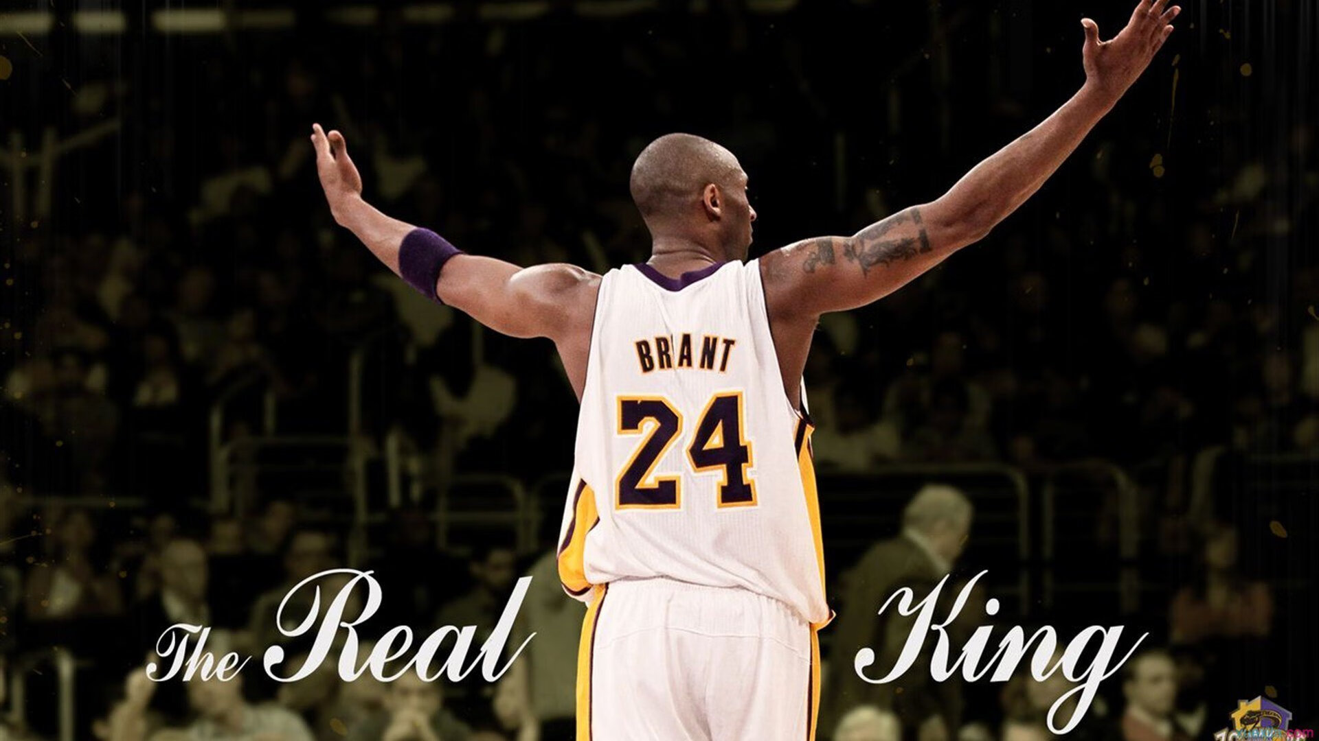 奥运周期关键战之夜，金玟哉冠军级表现铸就传奇